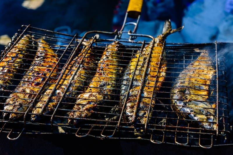 Whole Fish Cooking in a Metal Grate Grill Stock Image Image