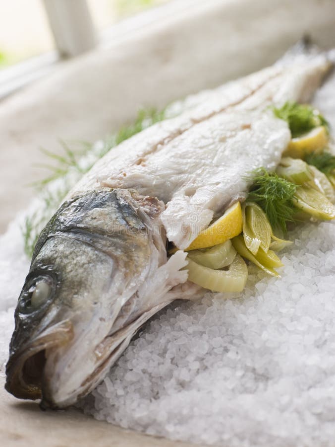 Whole Seabass Roasted in a Sea Salt Crust Stock Image Image of panes