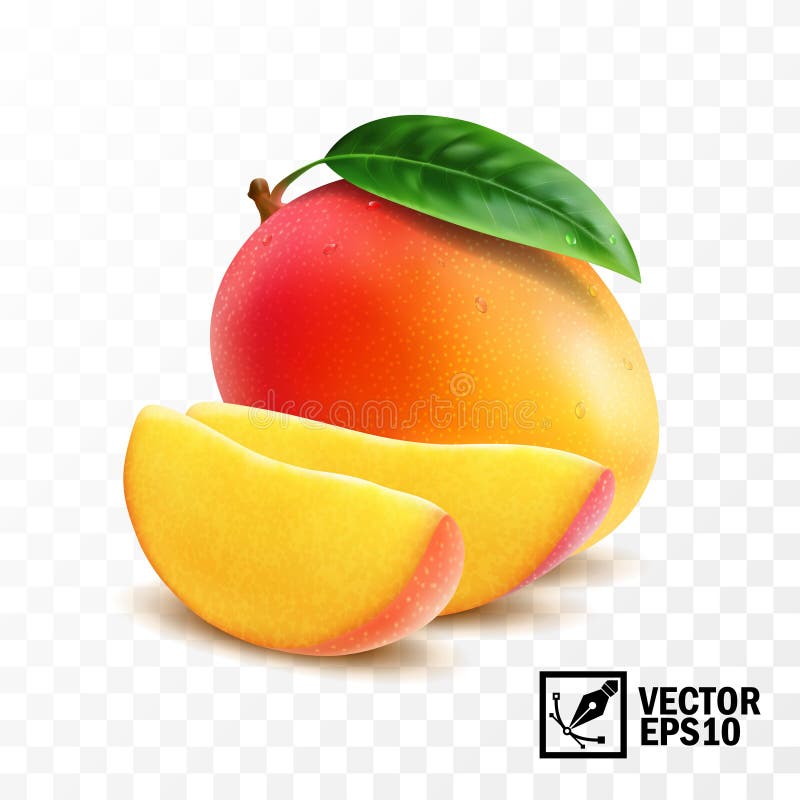 Whole and slice mango fruit with leaf, 3D realistic isolated vector, editable handmade mesh vector illustration