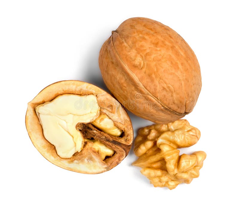 582 Half Walnut Piece Kernel Stock Photos Free & RoyaltyFree Stock