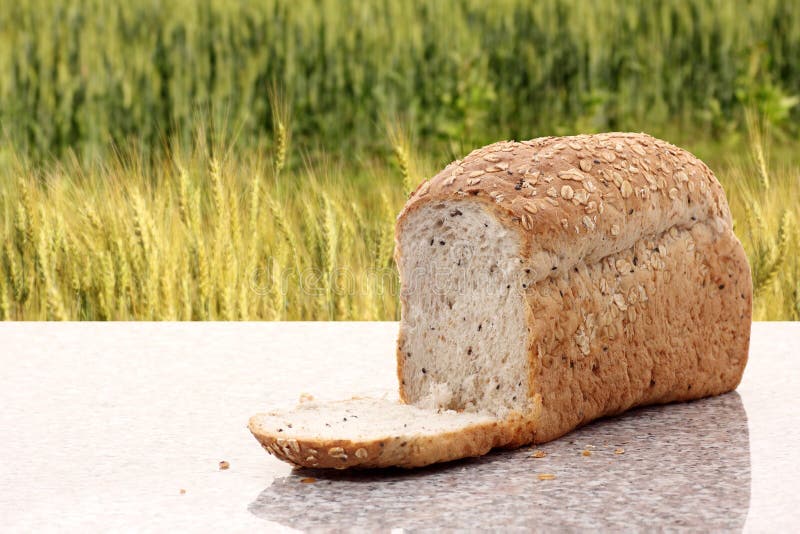 Whole Wheat Bread with Barley Field Stock Image Image of plate, meal
