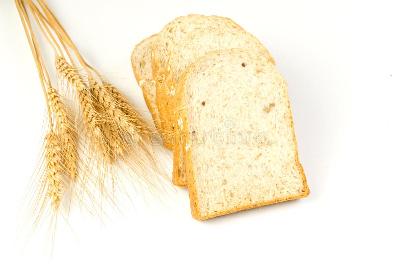 Whole Wheat Bread with Barley Stock Photo Image of healthy, barley