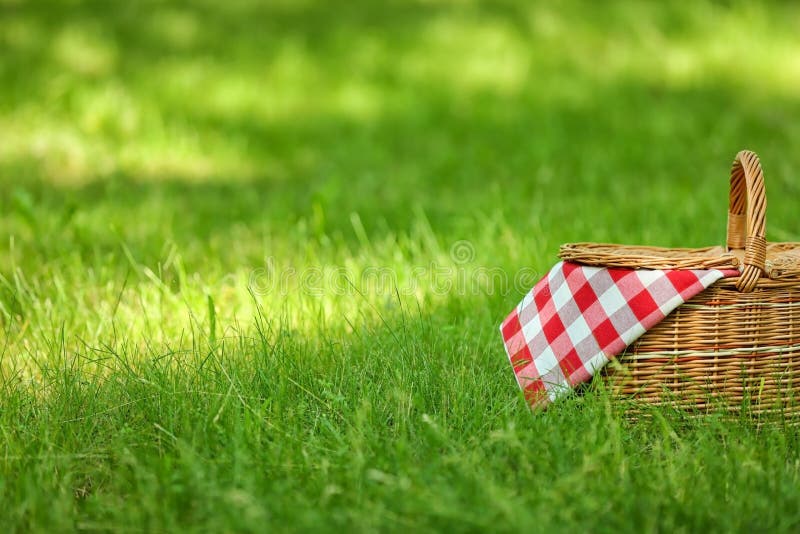 Wicker basket with blanket on green grass in park. Summer picnic