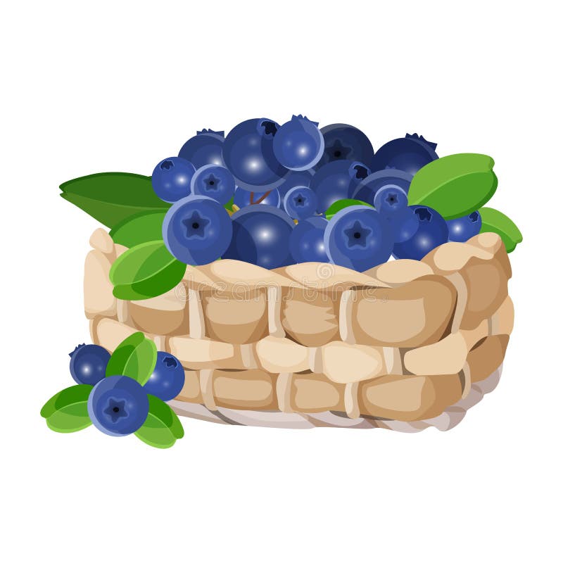 Download Basket Blueberries Stock Illustrations - 77 Basket ...