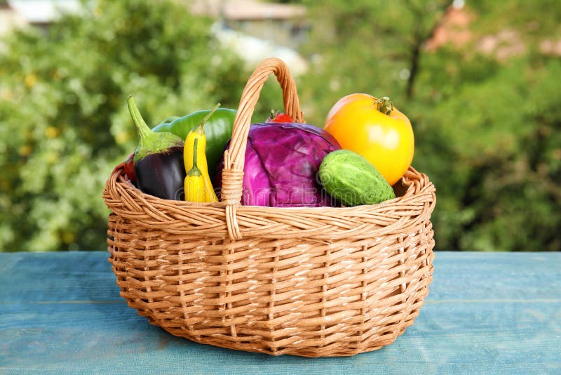 Wicker Basket with Fresh Ripe Vegetables Stock Image Image of