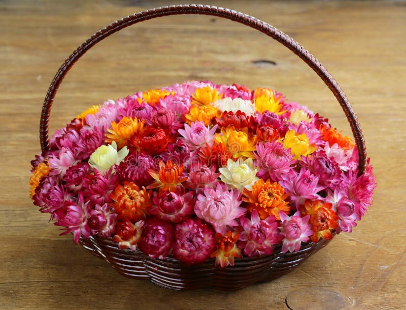 Wicker Basket with Multicolored Flowers Stock Image Image of garden