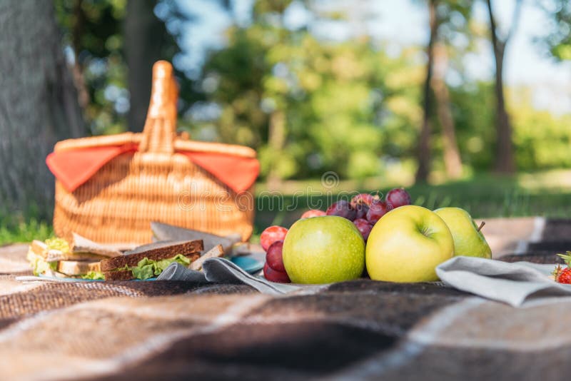 Wicker picnic basket and fresh tasty fruits on plaid in park