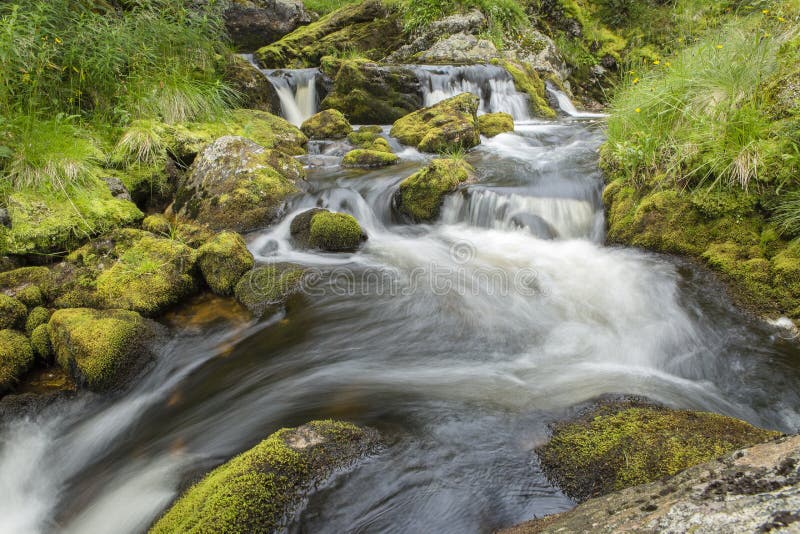 Creek winding through mossy rocks. Creek winding through mossy rocks