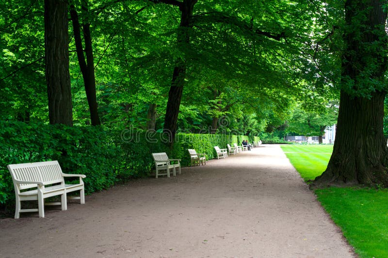 Wide alley with white benches in green summer Lazienki park.