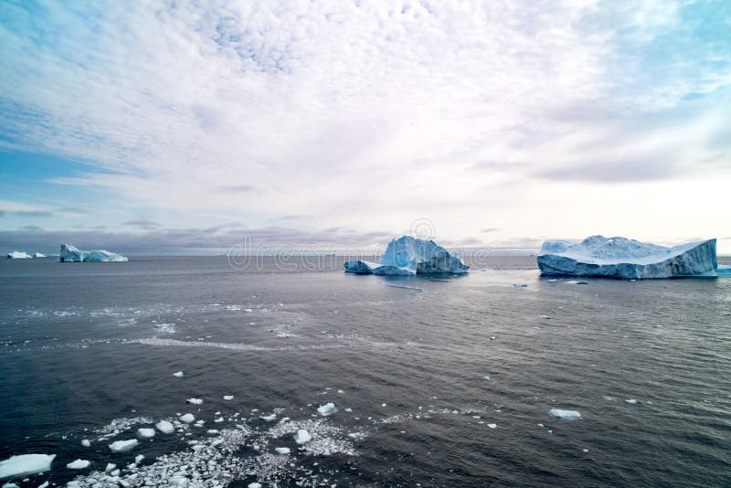 Ice floe, Antarctica - Stock Image - F032/4754 - Science Photo Library