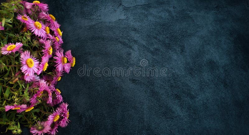 Wide Angle flower background