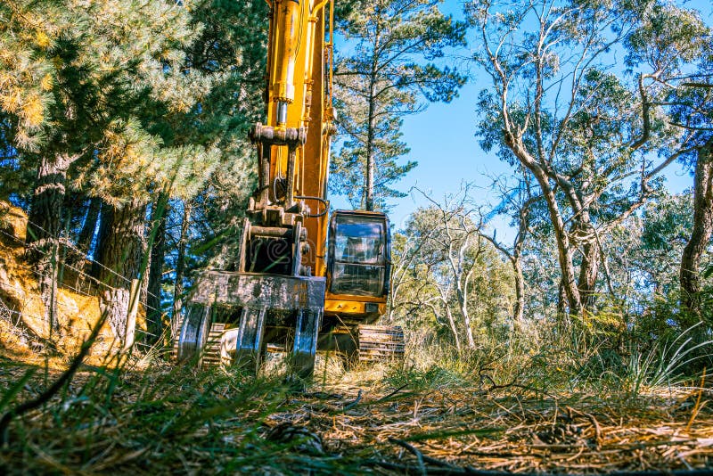 Wide angle view of industrial excavator among trees. stock images