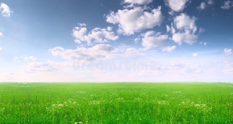 Wide field and blue sky