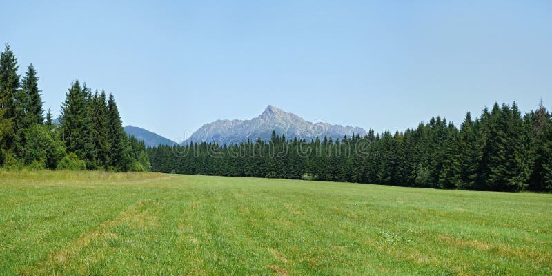 Široké panorama letní louky, lesa a hory Kriváň - slovenský symbol - v pozadí