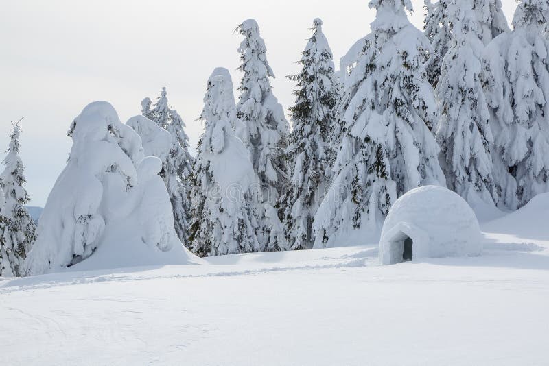 The wide trail leads to the snowy igloo. Winter mountain landscapes. Location place the Carpathian Mountains, Ukraine, Europe. stock photo The wide trail leads to the snowy igloo. Winter mountain landscapes. Location place the Carpathian Mountains, Ukraine, Europe. stock photo