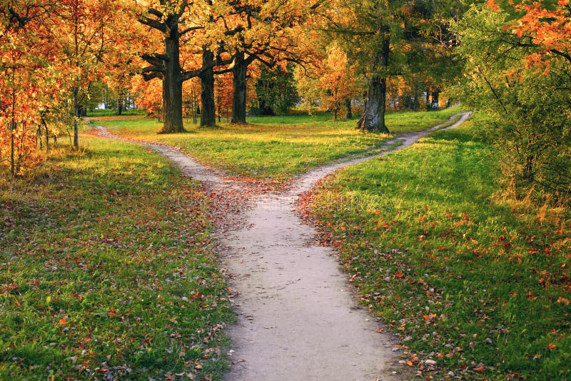 A wide trail strewn with fallen autumn foliage is divided into two paths that diverge in different directions. Autumn landscape