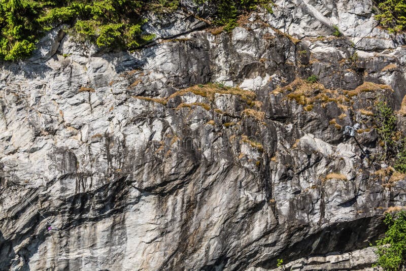 A Wide Variety of Marble Patterns in Nature Stock Image Image of