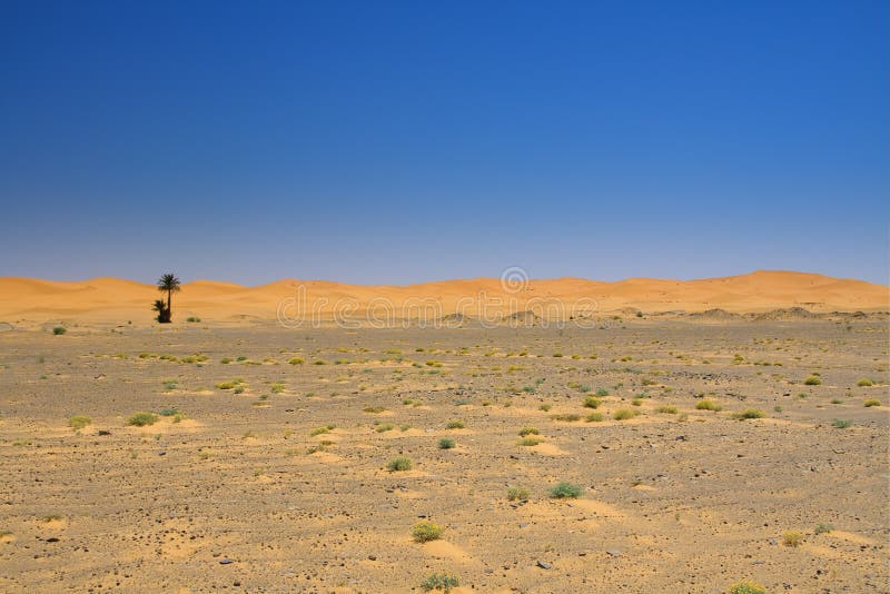 Download Wide View Of The Edge Of The Desert Stock Photo - Image of dunes, climate: 12519956