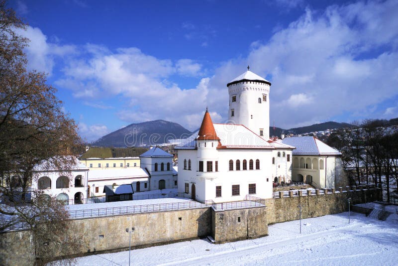 Aerial view on Budatin castle near Zilina during summer