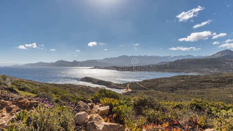 Widok Calvi góry od Revellata w Corsica i cytadela. Widok przez maquis Revellata Di L ` Oscelluccia w kierunku Calvi cytadeli na zachodnim wybrzeżu Corsica z śniegiem i Punta nakrywał góry za i niebieskie nieba z puszystymi chmurami i słońcem odbija na morzu śródziemnomorskim