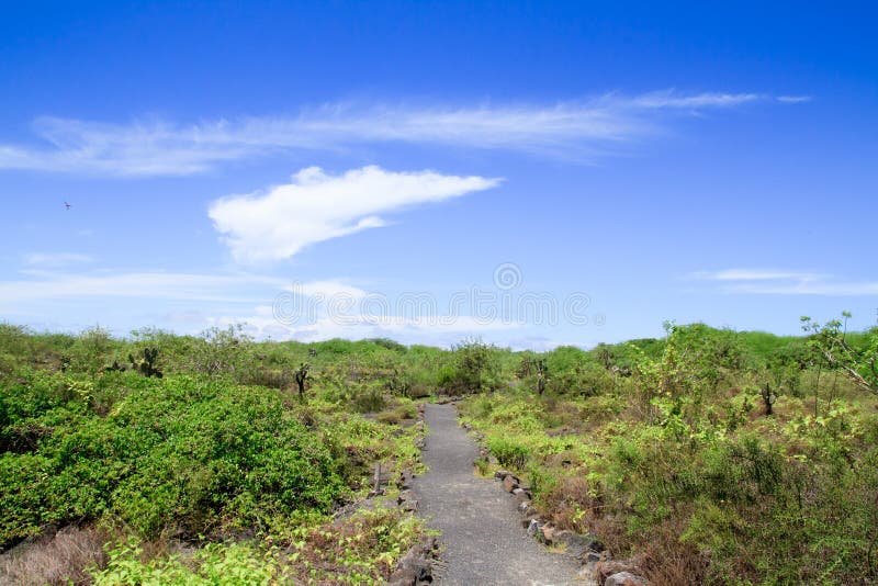 Widok chodzący turystyczny ślad w Galapagos zdjęcia royalty free Widok chodzący turystyczny ślad w Galapagos zdjęcia royalty free