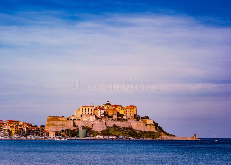 Widok cytadela z domami w Calvi zatoce, Corsica wyspa, Francja obraz royalty free