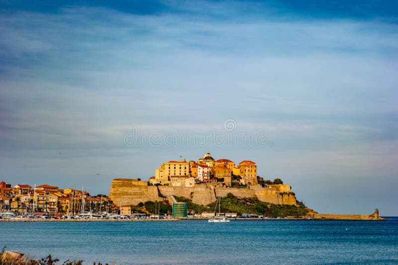Widok cytadela z domami w Calvi zatoce, Corsica wyspa, Francja zdjęcie stock