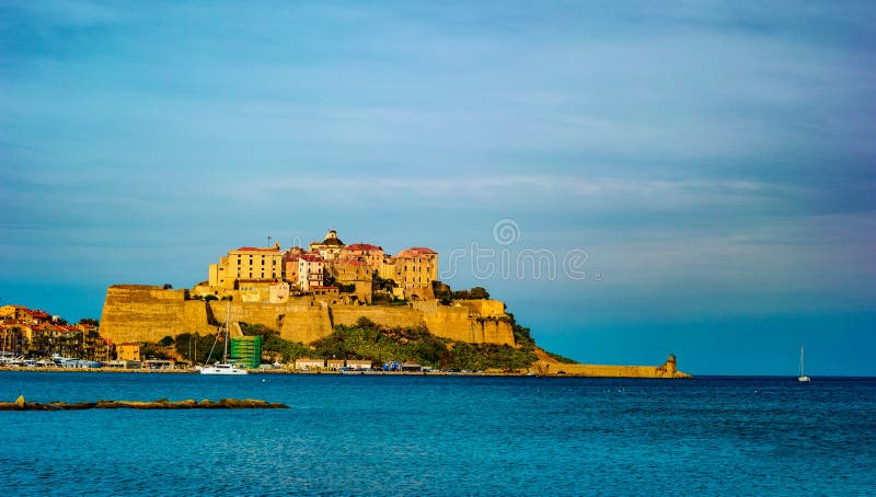 Widok cytadela z domami w Calvi zatoce, Corsica wyspa, Francja fotografia royalty free