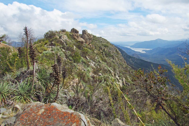 Widok lasu rodzimego w chile centralnym. Widok lasów i gór z robleria el cobre de loncha rezerwat przyrody w centralnym chile. jezioro, które pojawia się na krawędzi obrazu, to górujący ogon. zdjęcie zrobione w 2019 r..