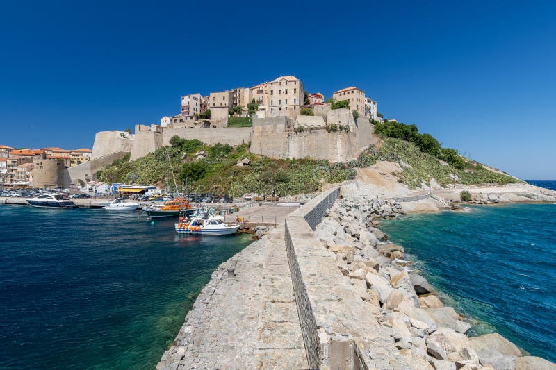 Widok miasta z domami w Calvi bay Corsica wyspa Francja fotografia royalty free