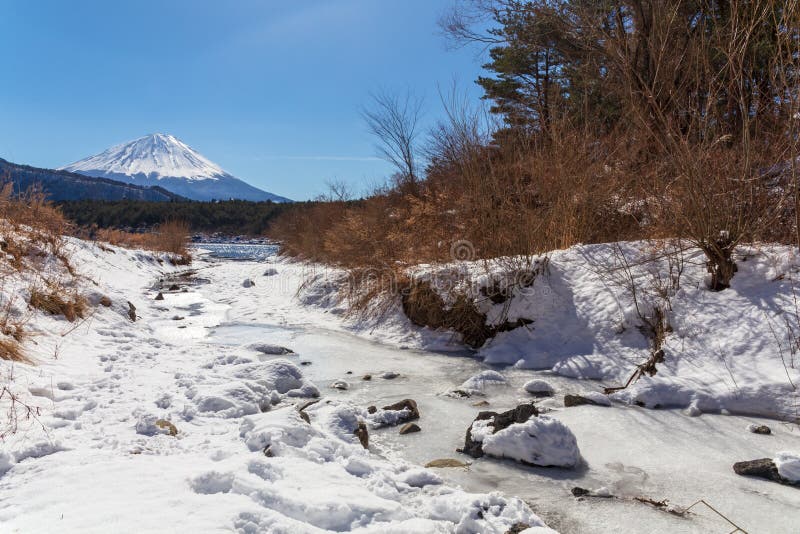 Widok Mont Fuji na jasnym zima dniu od małego strumienia w Saiko jeziornym terenie zakrywającym nieskazitelnym śniegiem w pięć je zdjęcie stock Widok Mont Fuji na jasnym zima dniu od małego strumienia w Saiko jeziornym terenie zakrywającym nieskazitelnym śniegiem w pięć je zdjęcie stock