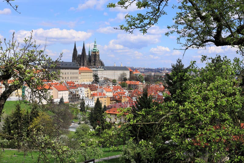 Widok na wiosny Praga gothic kasztelu z zieloną naturą kwiatonośnymi drzewami i, republika czech zdjęcie royalty free Widok na wiosny Praga gothic kasztelu z zieloną naturą kwiatonośnymi drzewami i, republika czech zdjęcie royalty free