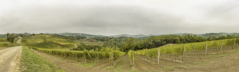 Widok nad wzgórzami z winnicami w pięknym Tuscany w Włochy fotografia royalty free Widok nad wzgórzami z winnicami w pięknym Tuscany w Włochy fotografia royalty free