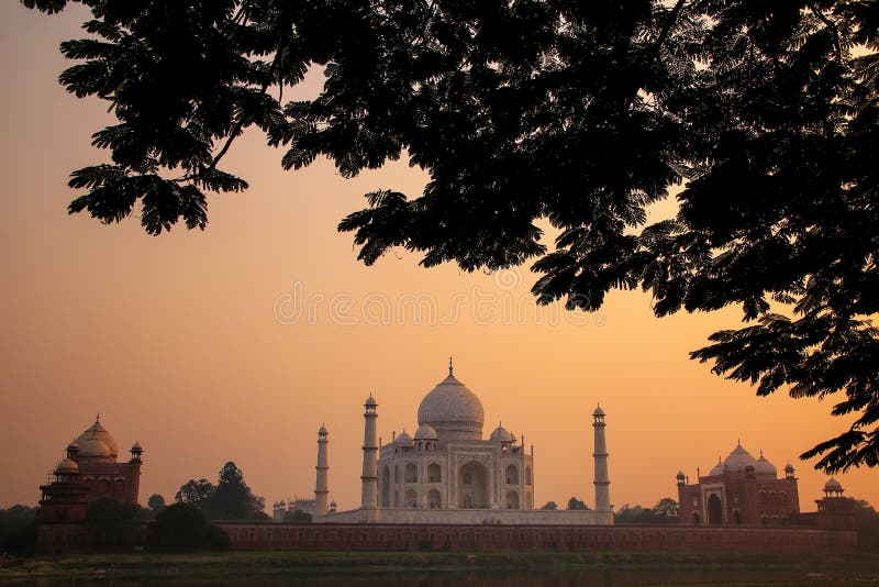 Widok obramiający drzewną koroną przy zmierzchem Taj Mahal, Agra, Uttar