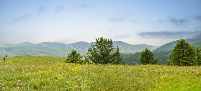 Widok Od Mongolskiej góry Iść Na Na zawsze zdjęcia stock Widok Od Mongolskiej góry Iść Na Na zawsze zdjęcia stock