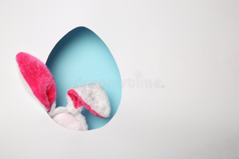 View of furry Easter bunny ears on color background through egg shaped hole, space for text. View of furry Easter bunny ears on color background through egg shaped hole, space for text