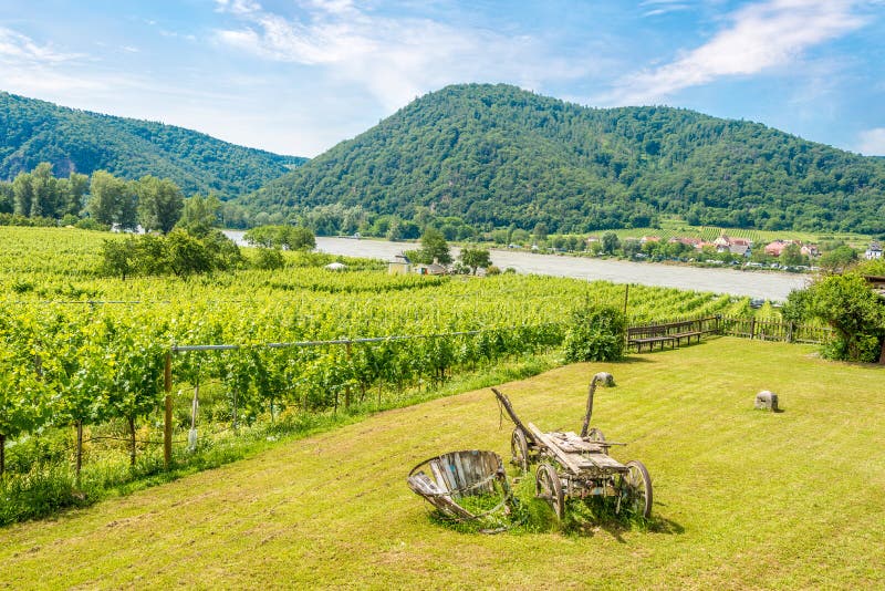 Widok przy Danube rzeką w i winnicami Durnstein, Austria - zdjęcia stock Widok przy Danube rzeką w i winnicami Durnstein, Austria - zdjęcia stock