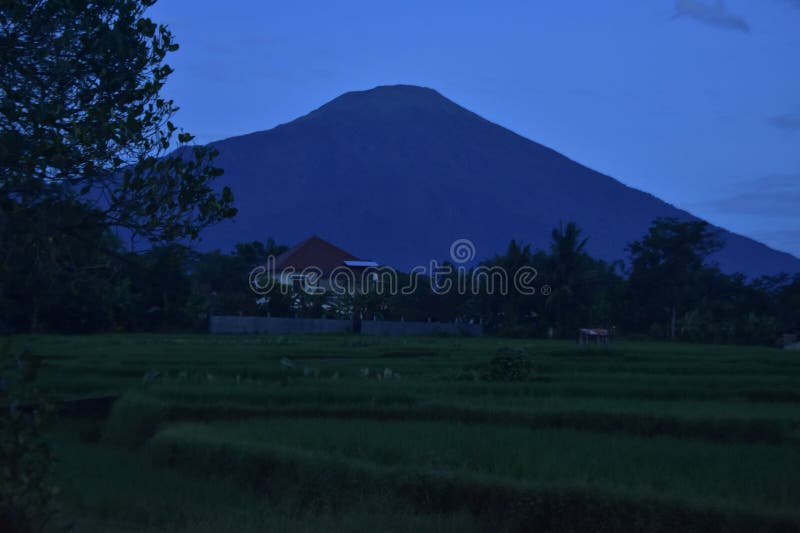 View of Rice Fields and Mount Ciremai
In Kuningan at 05, West Java. View of Rice Fields and Mount Ciremai
In Kuningan at 05, West Java