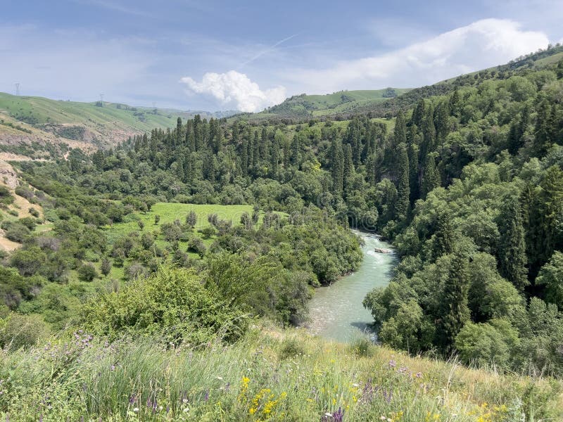 Widok sceniczny łusznej zielonej doliny. zdjęcie stock