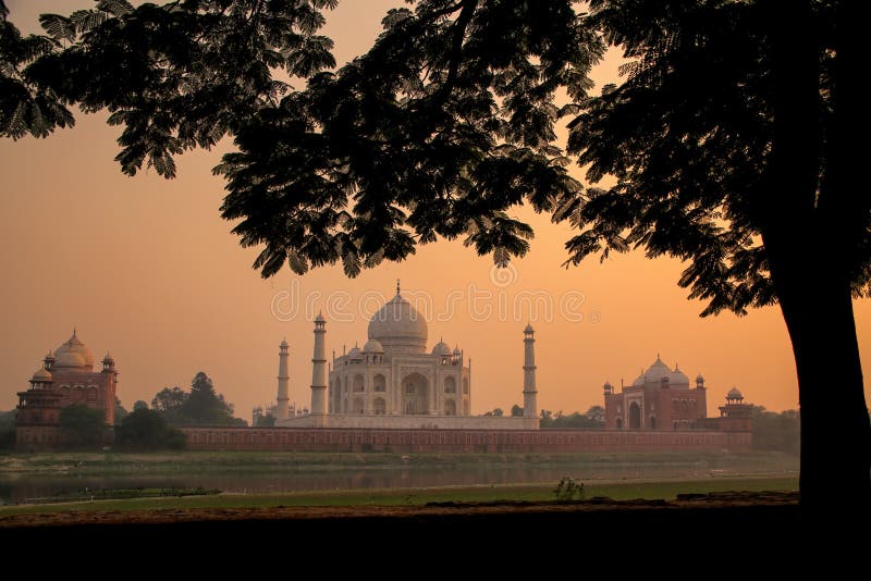 Widok Taj mahal wrobiony przez koronę drzewa na zachód słońca agra uttar pradesh indie