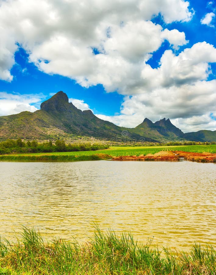 Widok trzcina cukrowa i góry Mauritius panorama fotografia stock Widok trzcina cukrowa i góry Mauritius panorama fotografia stock