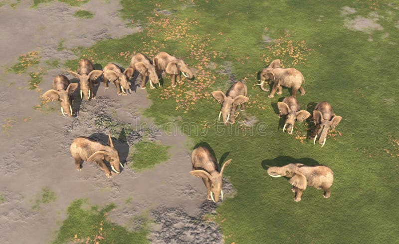 Computer generated 3D illustration with an aerial view of an elephant herd. Computer generated 3D illustration with an aerial view of an elephant herd