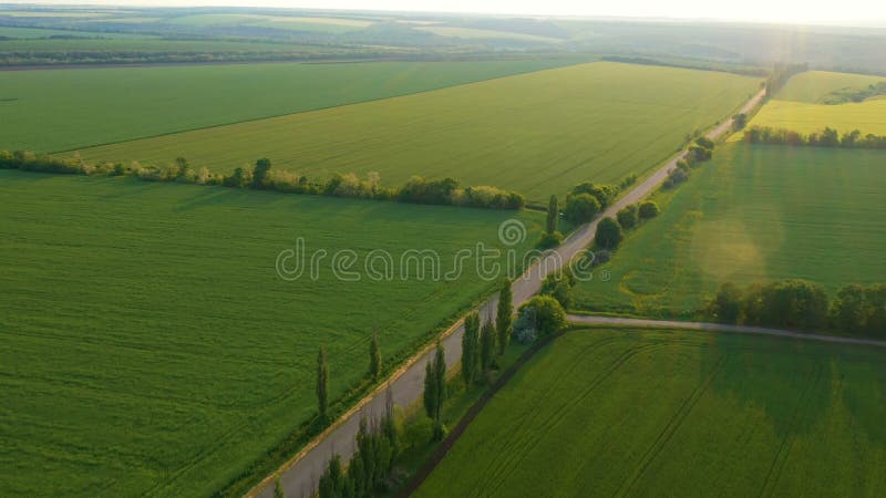 Widok z lotu ptaka wczesne lato zieleni droga i pola