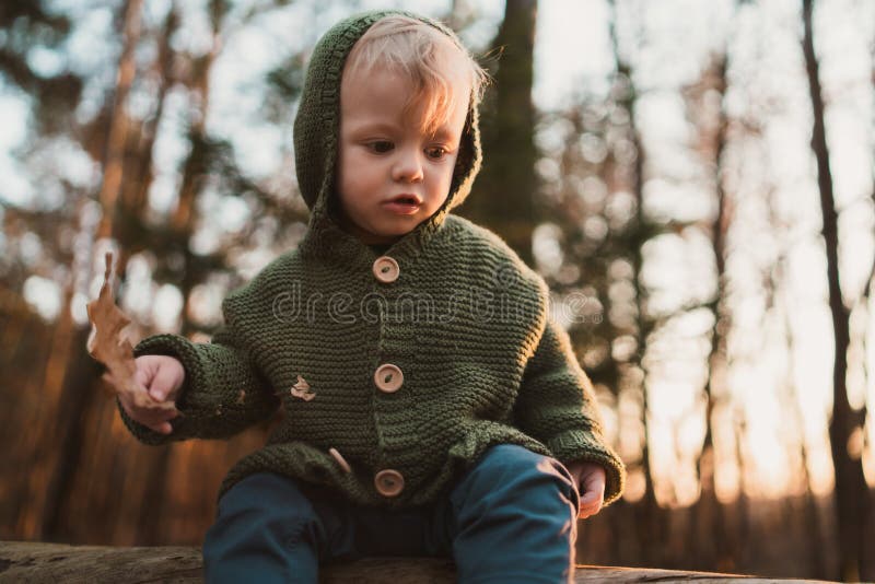 Widok z niskiego kąta na małego ciekawego chłopca na spacerze w naturze zdjęcia stock