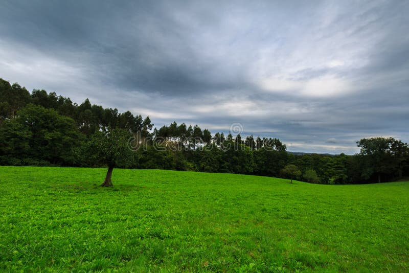 Widok zieleni pola Laukiz, Baskijski kraj fotografia stock Widok zieleni pola Laukiz, Baskijski kraj fotografia stock