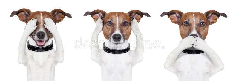 Widzii żadny zła, słucha żadny zła, mówi żadny zła, fotografia stock Widzii żadny zła, słucha żadny zła, mówi żadny zła, fotografia stock