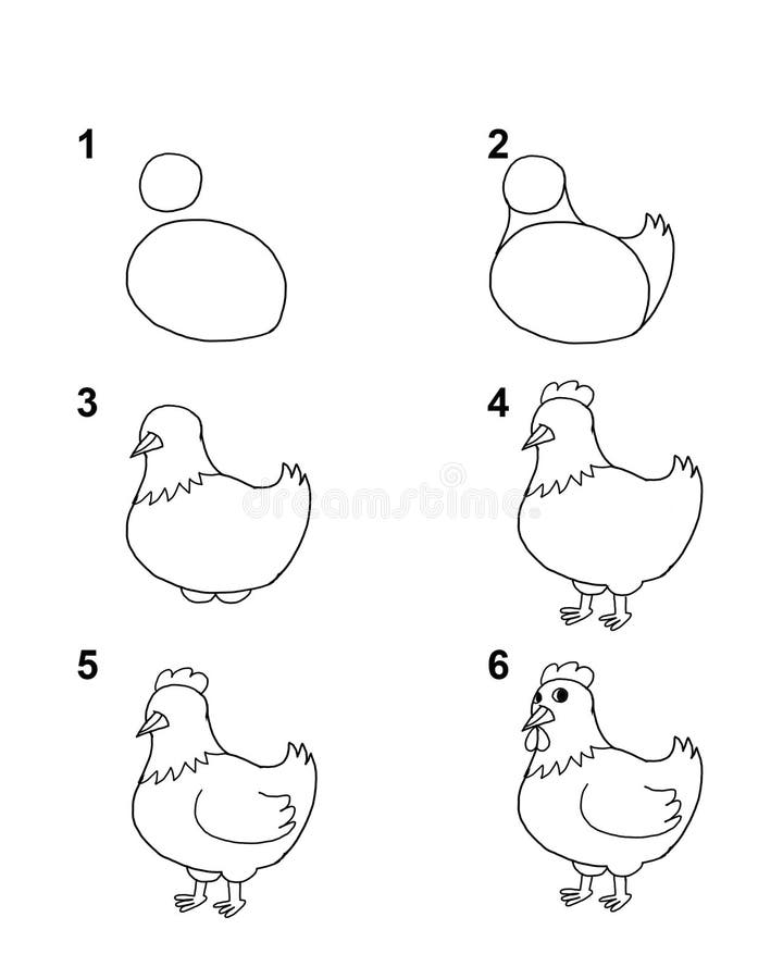Wie die Henne mit Karikaturillustration mit 6 Schritte mit weißem Hintergrund zieht