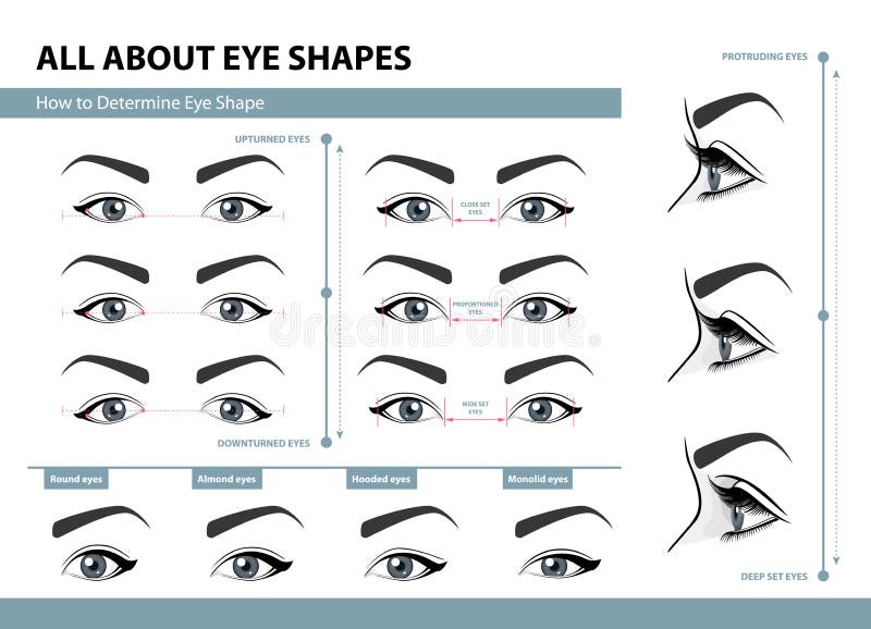 Wie Man Augen Form Bestimmt Verschiedene Arten Von Weiblichen Augen Satz Vektorillustrationen Mit Titeln Schablone Fur Make Up Vektor Abbildung Illustration Von Schonheit Abbildungen 105449471