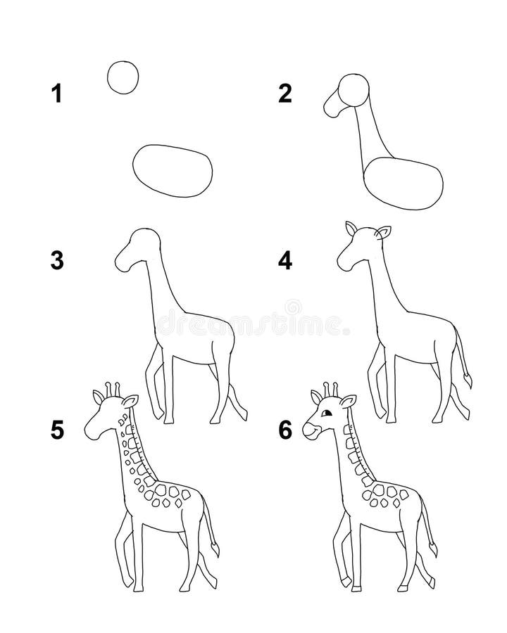 Wie man Giraffe mit Karikaturillustration mit 6 Schritte mit weißem Hintergrund zieht
