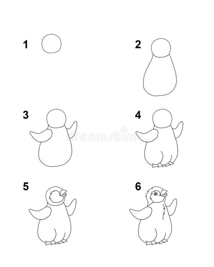 Wie man pinguin schrittweise Karikaturillustration mit weißem Hintergrund zieht